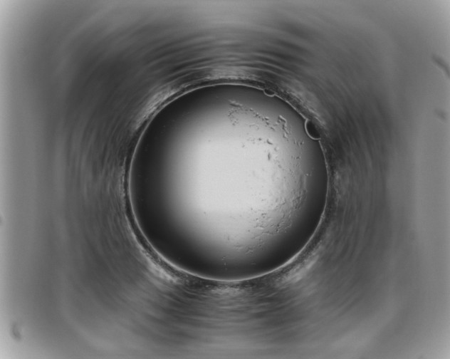 X0000095911033200801181351