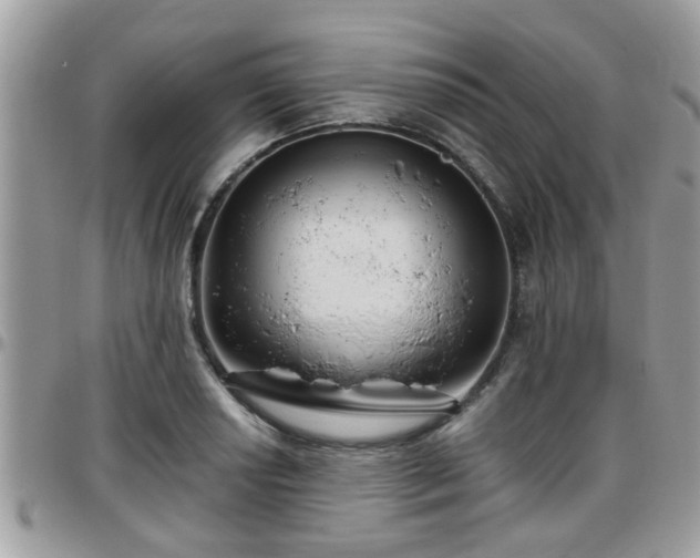 X0000095911034200801181351