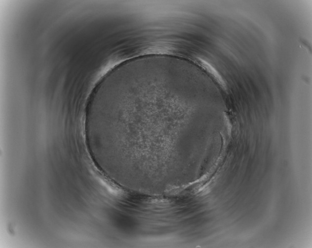 X0000095911035200801181351