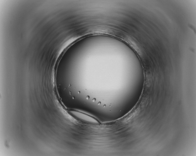 X0000095911036200801181351