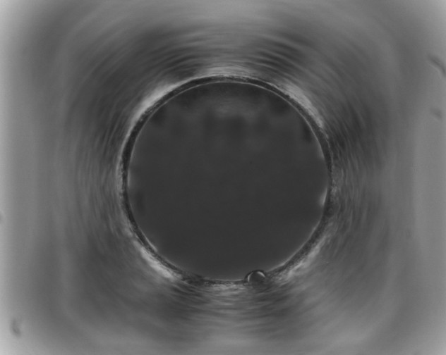 X0000095911037200801181351