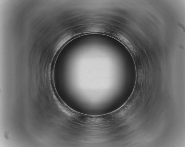 X0000095911039200801181351