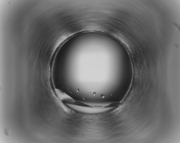 X0000095911040200801181351