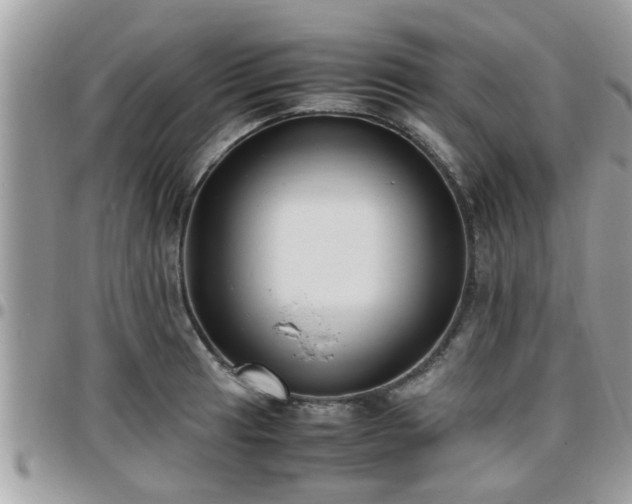 X0000095911041200801181351