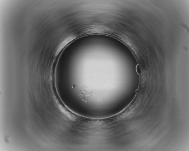 X0000095911042200801181351