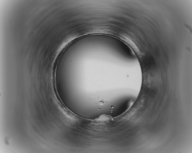 X0000095911043200801181351