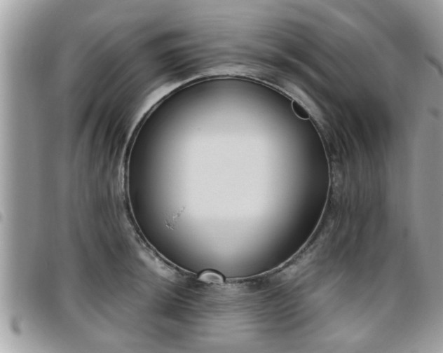 X0000095911044200801181351