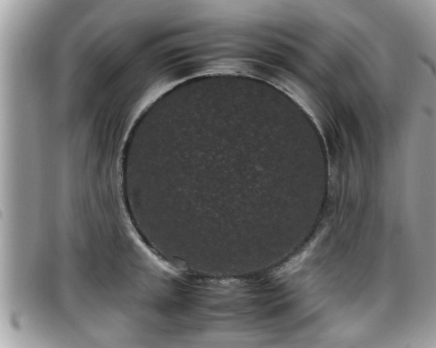 X0000095911045200801181351