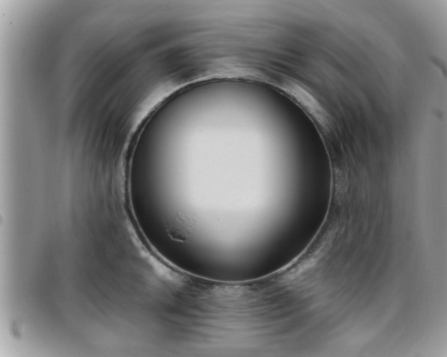 X0000095911046200801181351