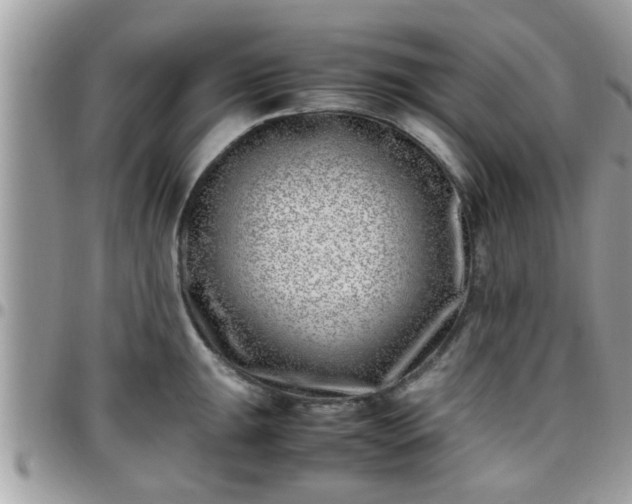 X0000095911047200801181351