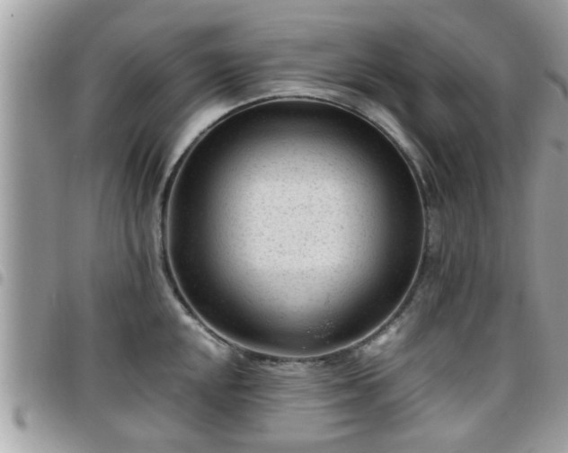 X0000095911048200801181351