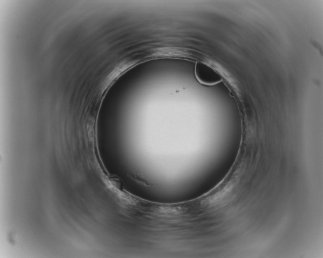 X0000095911049200801181351