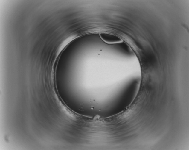 X0000095911050200801181351