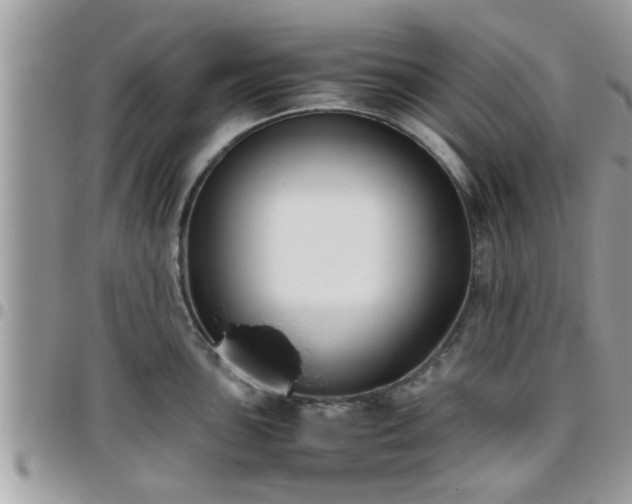 X0000095911051200801181351