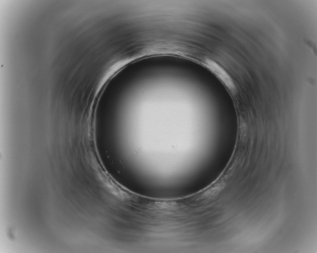 X0000095911052200801181351