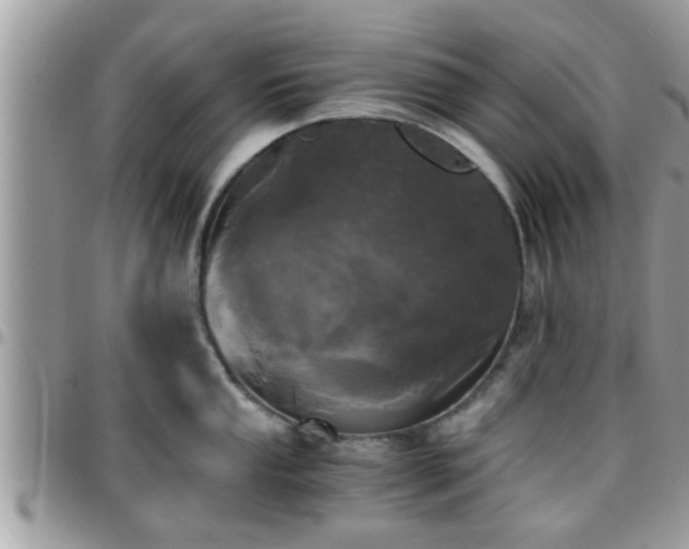 X0000095911053200801181351