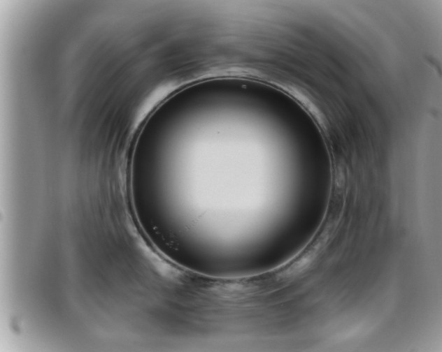 X0000095911054200801181351