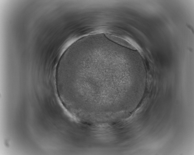 X0000095911055200801181351