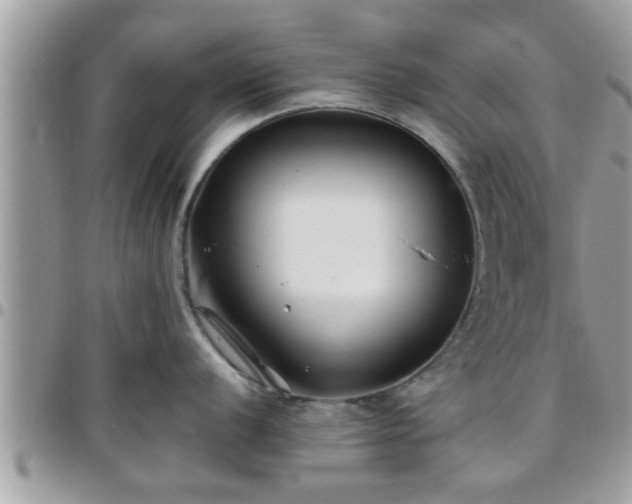 X0000095911056200801181351