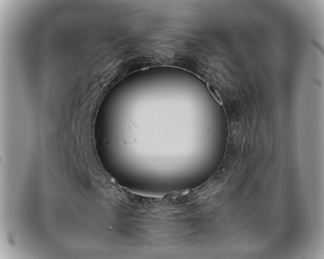 X0000095911057200801181351