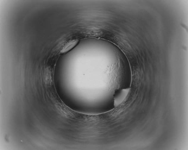 X0000095911058200801181351