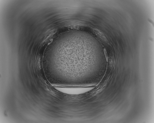 X0000095911060200801181351