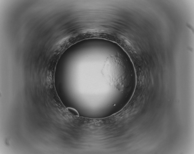 X0000095911062200801181351