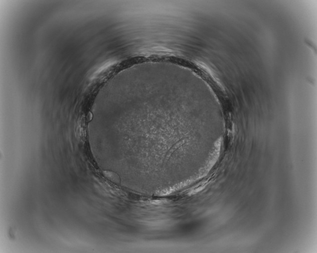 X0000095911063200801181351