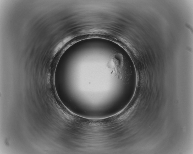 X0000095911066200801181351