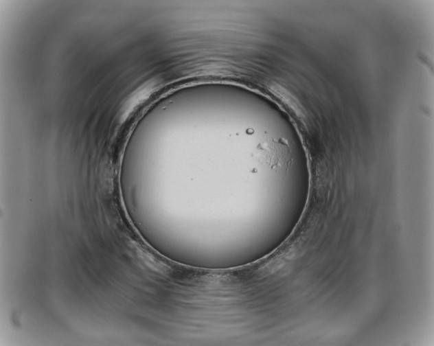 X0000095911067200801181351