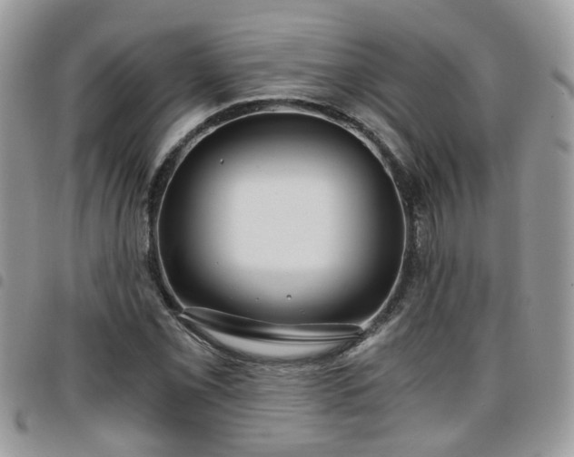 X0000095911069200801181351