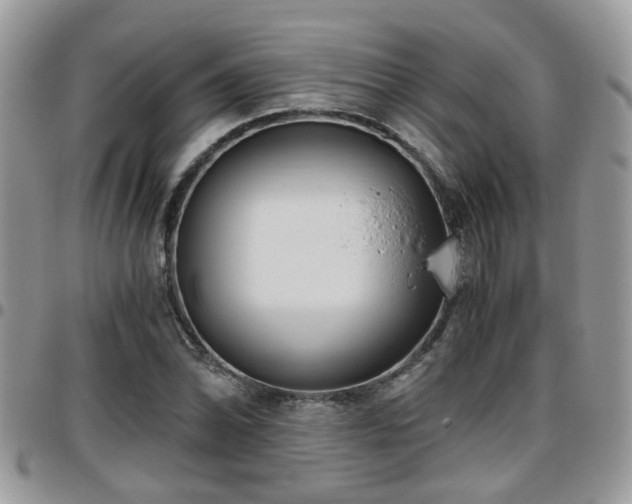 X0000095911070200801181351