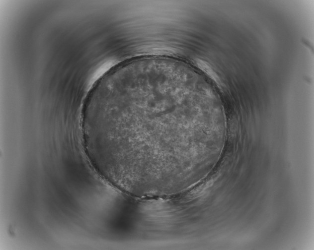 X0000095911071200801181351