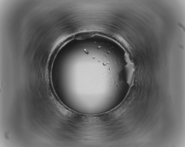 X0000095911072200801181351