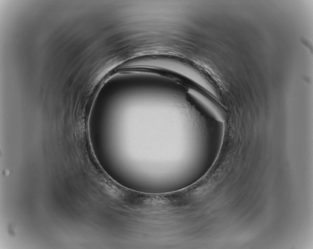 X0000095911073200801181351