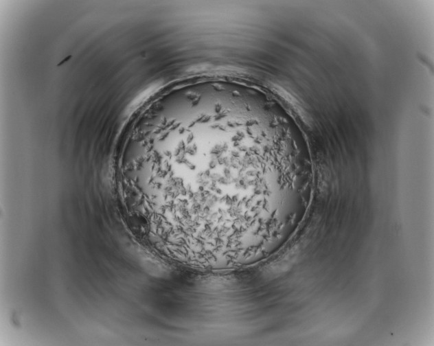 X0000095911074200801181351