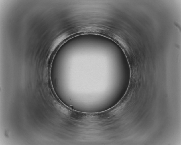 X0000095911075200801181351