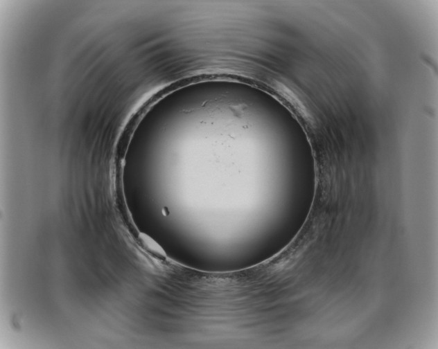 X0000095911076200801181351