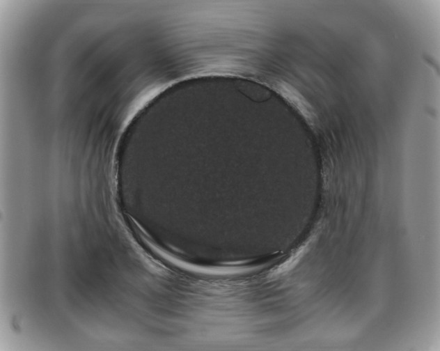 X0000095911077200801181351