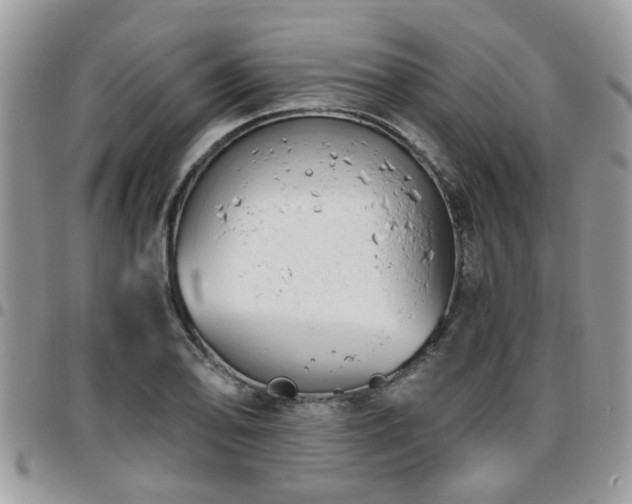 X0000095911078200801181351