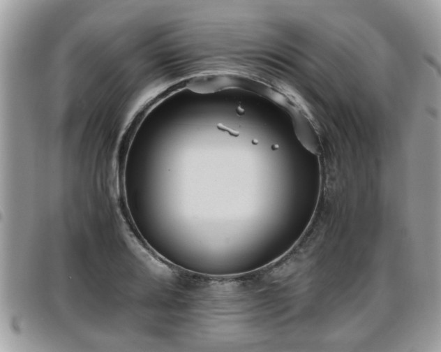 X0000095911080200801181350