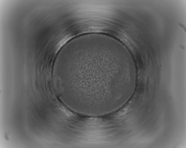 X0000095911081200801181350