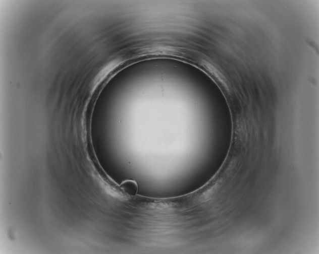 X0000095911082200801181350