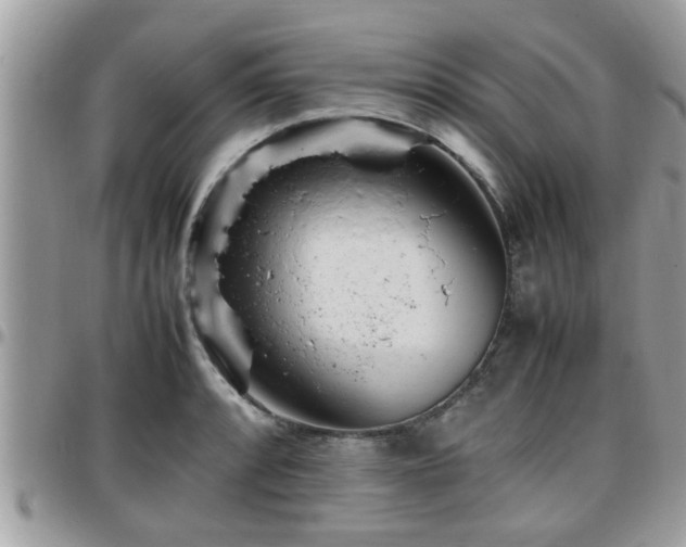 X0000095911088200801181350