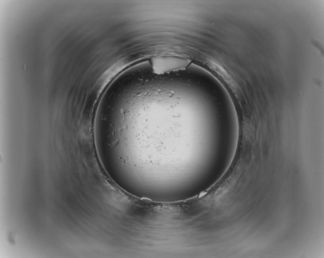 X0000095911089200801181350