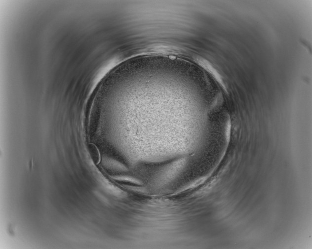 X0000095911091200801181350