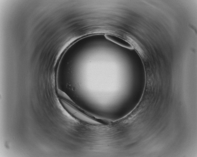 X0000095911092200801181350