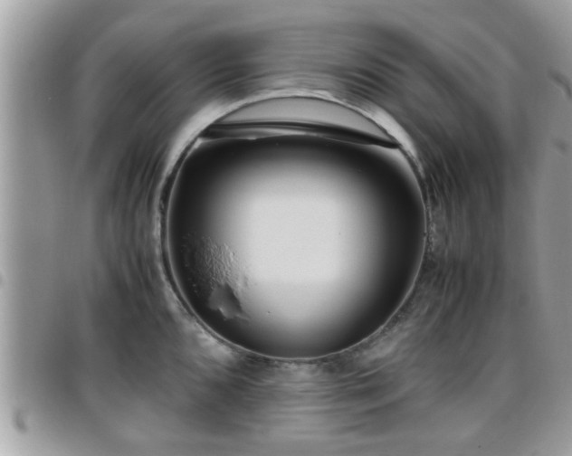 X0000095911096200801181350