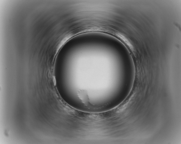 X0000095911097200801181350