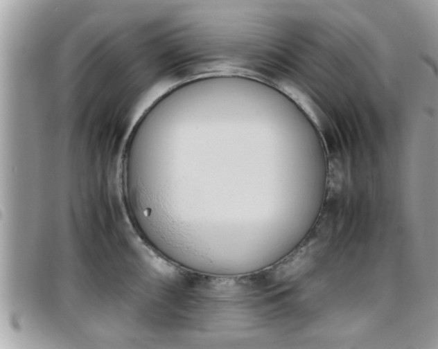 X0000095911098200801181350